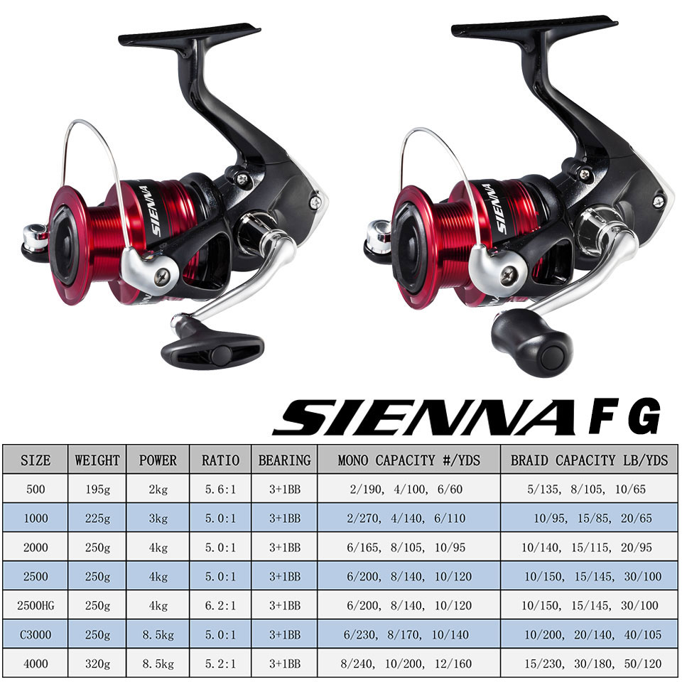 Shimano Sienna Spinning Angel  – Shimano Reel Sienna Bewertung und Preis